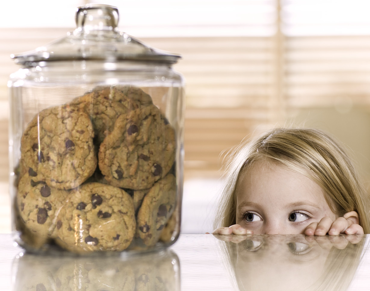 Choc Chip Toffee Pecan
